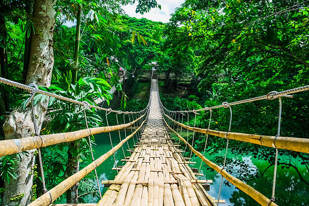 Бамбуковый мост
