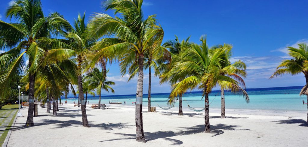 bohol-beach-club-resort-palm-beach