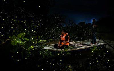 Светлячки на Бохоле. Река Абатан